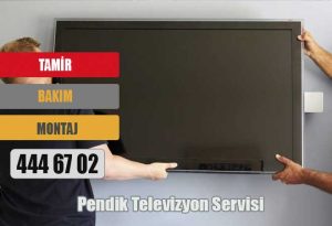 Pendik Televizyon Servisi