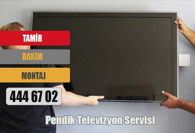Pendik Televizyon Servisi