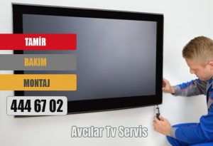 Avcılar Tv Servis