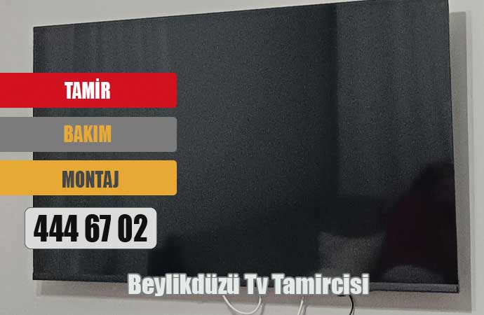 Beylikdüzü Tv Tamircisi
